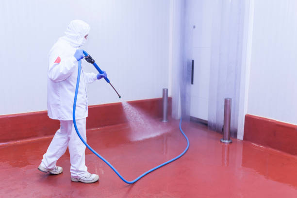 Best Deck and Patio Pressure Washing in Mexico Beach, FL